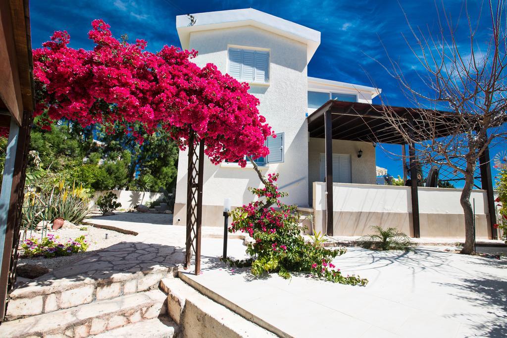 Merab Center Villas Ayia Napa Luaran gambar